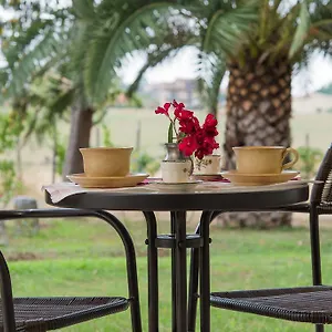 Degli Oleandri Bed & Breakfast